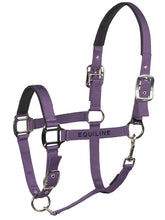 Carica l'immagine nel visualizzatore di Gallery, Set capezza con lunghina "Cautes" Equiline shop del cavallo