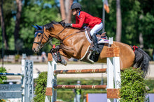 Load image into Gallery viewer, Fascia di rispetto LoveHorses shop del cavallo