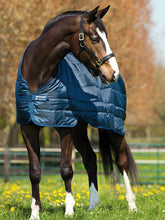 Carica l'immagine nel visualizzatore di Gallery, Sottopiumino da box 100 gr Horseware shop del cavallo