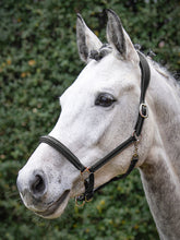 Carica l'immagine nel visualizzatore di Gallery, Capezza Safety Halter in cuoio nero Equiline shop del cavallo