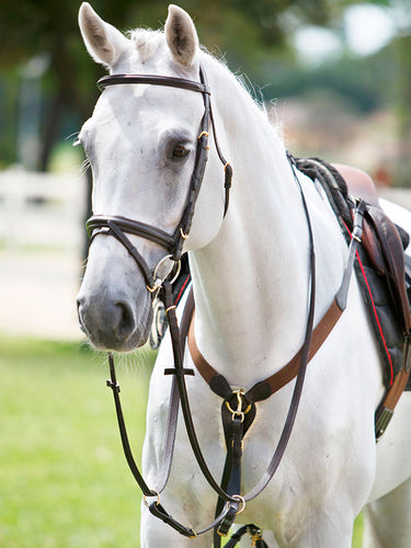 Pettorale con elastico Tattini shop del cavallo