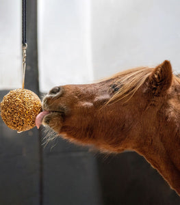 Granola Stall Ball Likit shop del cavallo