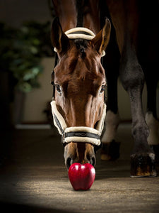 Capezza Tom nera con pelo d'agnello shop del cavallo