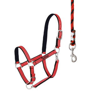 Capezza Tattini shop del cavallo