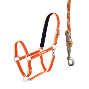 Capezza Tattini shop del cavallo