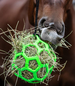 Palla per fieno Waldhausen shop del cavallo