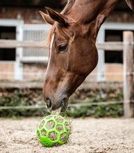 Carica l&#39;immagine nel visualizzatore di Gallery, Palla per fieno Waldhausen shop del cavallo
