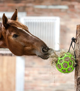 Palla per fieno Waldhausen shop del cavallo