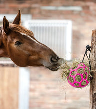 Carica l&#39;immagine nel visualizzatore di Gallery, Palla per fieno Waldhausen shop del cavallo
