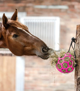 Palla per fieno Waldhausen shop del cavallo