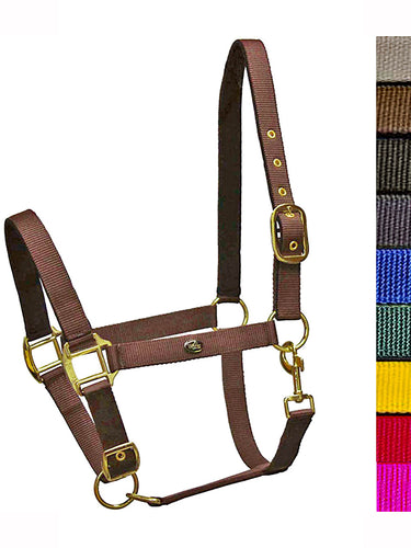 Capezza imbottita Winner shop del cavallo