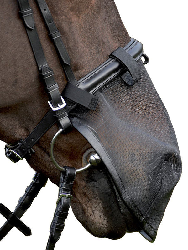 Coprimuso anti-mosche shop del cavallo