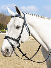 Carica l&#39;immagine nel visualizzatore di Gallery, Testiera morsetto nikelato con redini Winner special shop del cavallo

