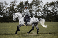 Load image into Gallery viewer, Sottosella da dressage blu &quot;Gema&quot; Kingsland shop del cavallo
