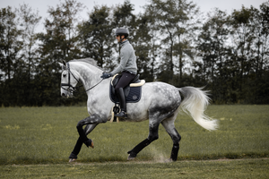 Sottosella da dressage blu "Gema" Kingsland shop del cavallo