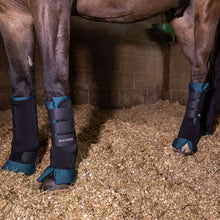 Carica l&#39;immagine nel visualizzatore di Gallery, Set da 4 stable boots cuscini ottanio D·ISTINTO shop del cavallo
