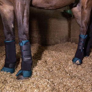 Set da 4 stable boots cuscini ottanio D·ISTINTO shop del cavallo