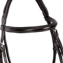 Load image into Gallery viewer, Testiera inglese &quot;Jumping&quot; dark brown Equestro shop del cavallo
