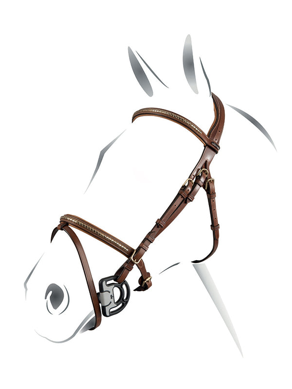 Testiera inglese cognac con clincher oro Equestro shop del cavallo