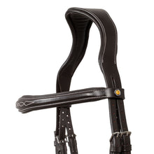 Load image into Gallery viewer, Testiera anatomica Dark Brown con redini Equestro shop del cavallo
