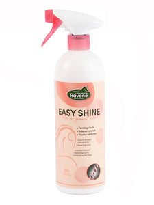 Easy Shine districante Ravene shop del cavallo