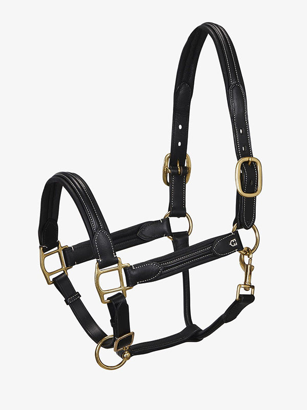 Capezza in cuoio nero Equestro shop del cavallo