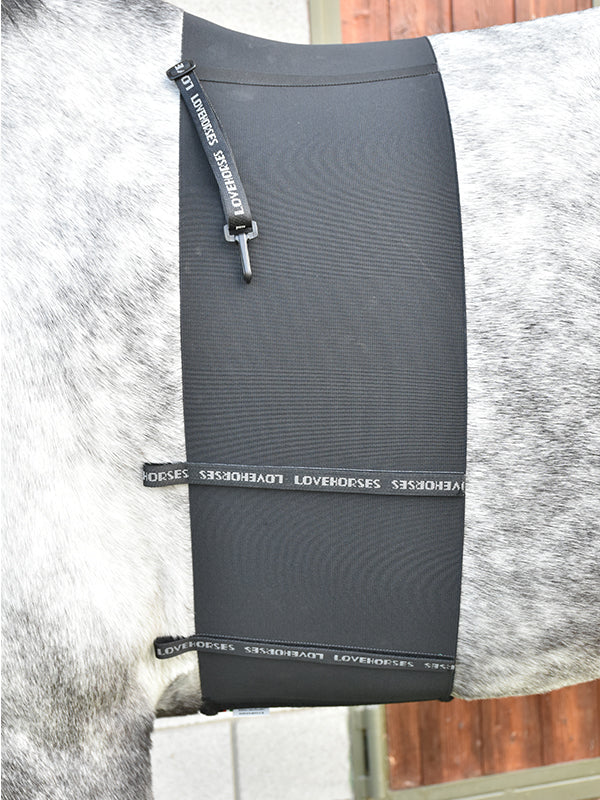 Fascia di rispetto LoveHorses shop del cavallo