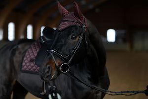 Cuffia Endless Glow Equestrian Stockholm shop del cavallo