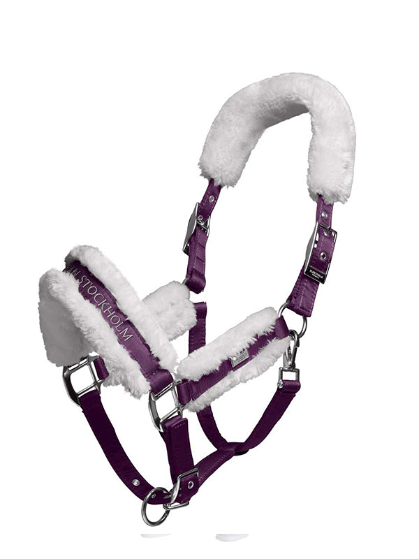 capezza equestrian stockholm orchid bloom shop del cavallo