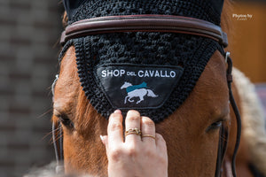 Gift Card Shop del Cavallo