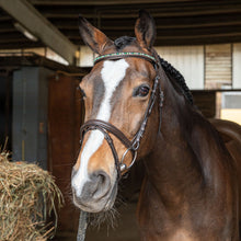 Carica l&#39;immagine nel visualizzatore di Gallery, Testiera crystal verde con redini Winner shop del cavallo
