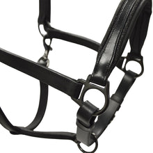 Carica l&#39;immagine nel visualizzatore di Gallery, Capezza in cuoio con profili in strass Winner shop del cavallo
