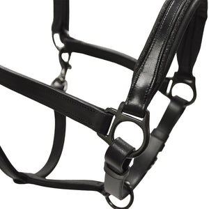 Capezza in cuoio con profili in strass Winner shop del cavallo