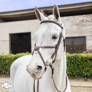 Testiera con capezzino alla messicana Winner Special shop del cavallo