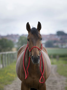 Capezza con redini "Norton" Ekkia  shop del cavallo