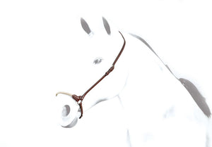 Capezzino "noseband raw" BR43 Equipe shop del cavallo