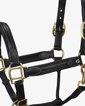 Load image into Gallery viewer, Capezza in cuoio nero Equestro shop del cavallo
