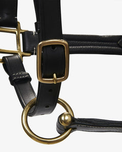 Capezza in cuoio nero Equestro shop del cavallo