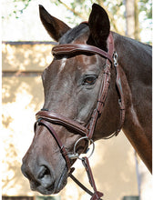 Load image into Gallery viewer, Testiera nera anatomica &quot;Ready to ride&quot; Equiline shop del cavallo
