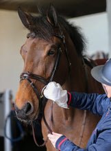 Load image into Gallery viewer, Belvoir tack cleaner mitt Carr &amp; Day &amp; Martin shop del cavallo
