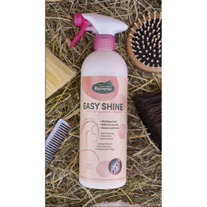 Easy Shine districante Ravene shop del cavallo