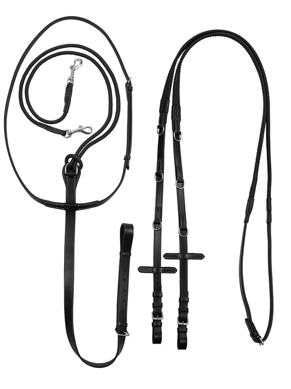 Redini Tiedemann Equestro