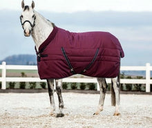 Load image into Gallery viewer, Coperta da box &quot;Cosy Stable&quot; 200gr Rambo shop del cavallo
