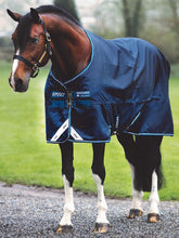 Load image into Gallery viewer, Coperta impermeabile &quot;Mio turnout Lite&quot; 0gr Amigo shop del cavallo
