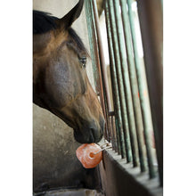 Carica l&#39;immagine nel visualizzatore di Gallery, Sale minerale Himalaya shop del cavallo
