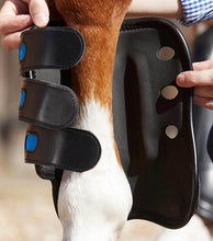 Load image into Gallery viewer, Protezioni da cross &quot;Air Cooled original&quot; rear Premier Equine shop del cavallo
