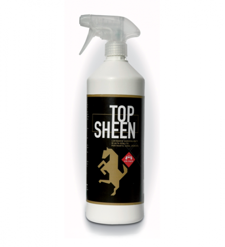 Top Sheen shop del cavallo