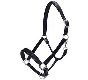 Capezza in cuoio shop del cavallo