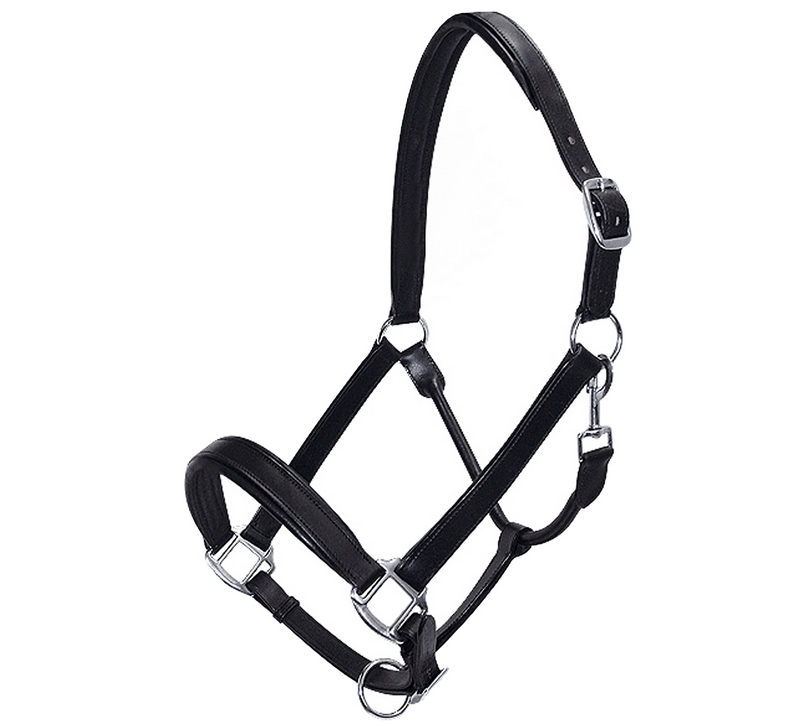 Capezza in cuoio shop del cavallo