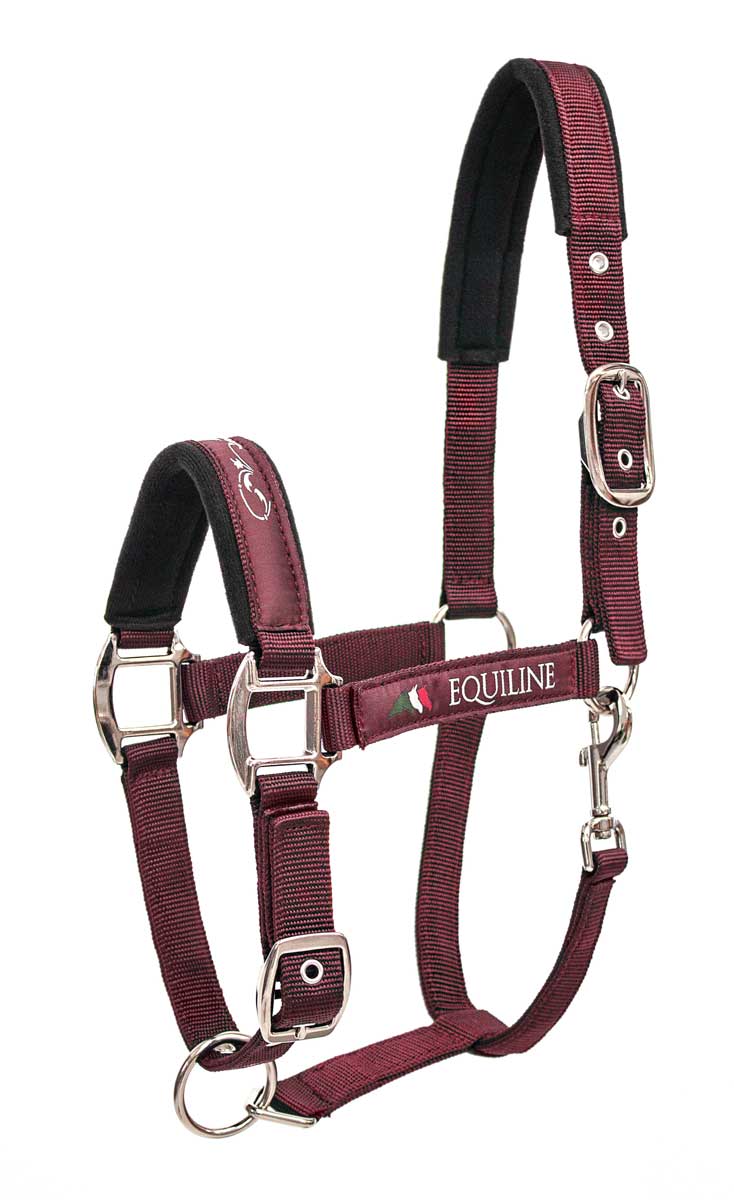 capezza equiline bordeaux shop del cavallo